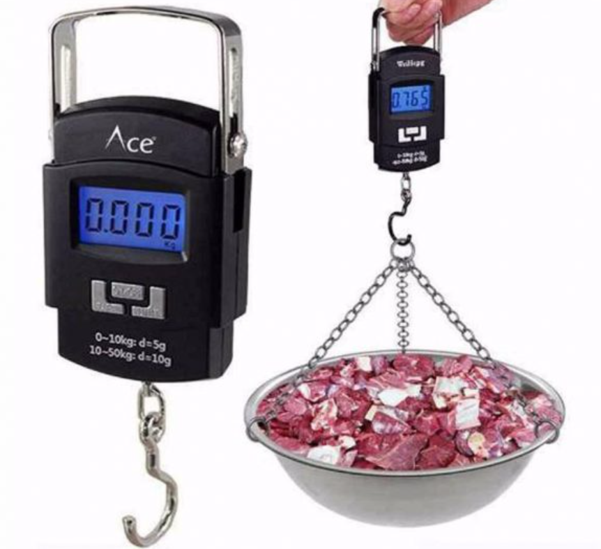 Portable Weight Scale